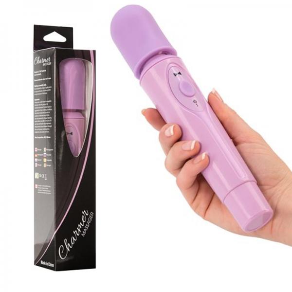 Charmer 2 Speed Massager Purple