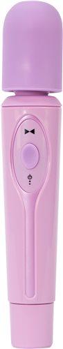 Charmer 2 Speed Massager Purple