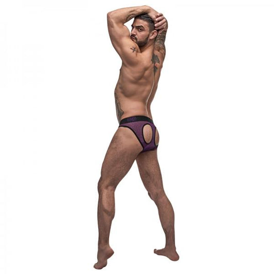 Male Power Airotic Mesh Butt Out Bikini Ppl Medium